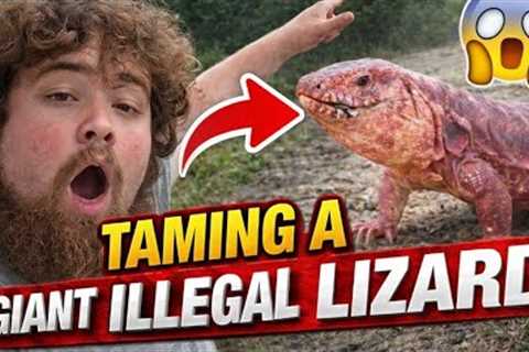 Training my GIANT LIZARD!! 
