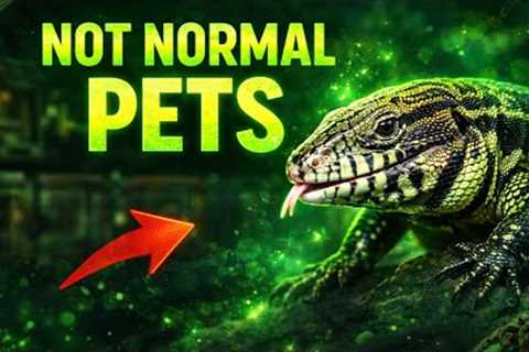 REPTIWORLD | The Truth About Exotic Pets…
