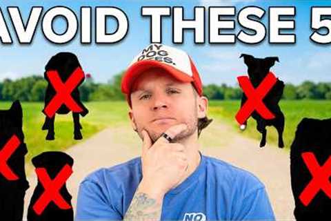 The 5 Dog Breeds That Will Humble You Fast