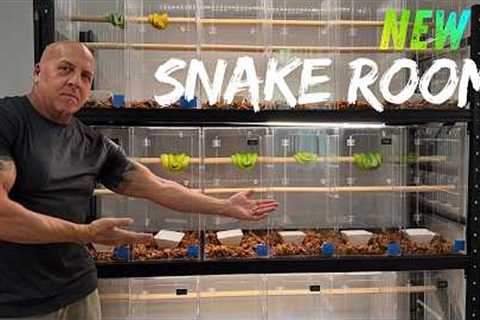Inside My New Snake Room in Thailand — Built for What’s Coming Next