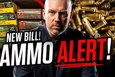 LAWYER: Your Ammo Is Going To Be HARDER To Get! – Here’s Why