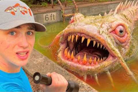 I Found Deadly Fish in an Abandoned Pool…