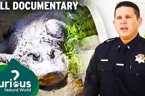 Unbelievable Public Tragedies With Wild Animals & Exotic Pets | Full Documentary | Predator Pets