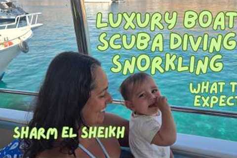 Scuba Diving for Beginners + Boat Day Trip in Sharm El Sheikh  WHAT TO EXPECT
