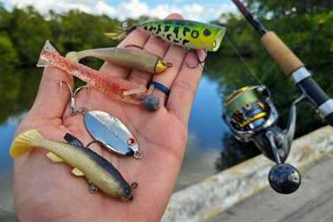 Fishing With Only Lures I've Found (Again)