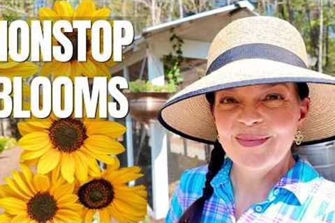 Plant This Combo for NONSTOP Blooms + Pollinators! (Easy Garden Formula)
