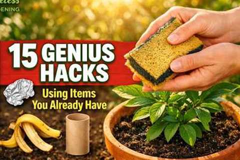 15 Genius Gardening Hacks Using Items You Already Have at Home