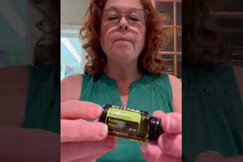 Making a natural insect repellent