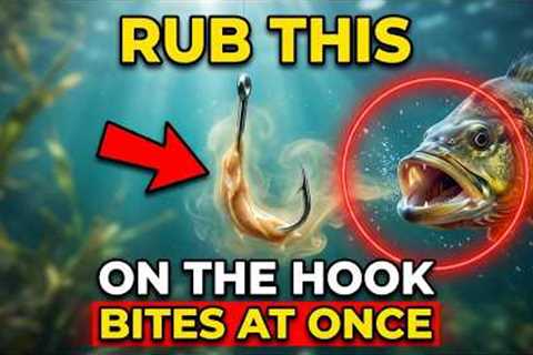 Rub This On The Hook Like This — The Cheap Material That Guarantees A Bite On The First Cast