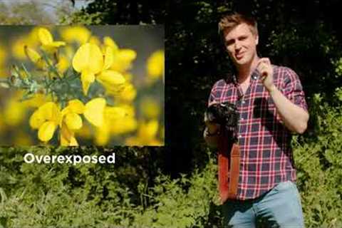 Lesson 7, exposure: Photography for Absolute Beginners (Manual Mode Made Simple)