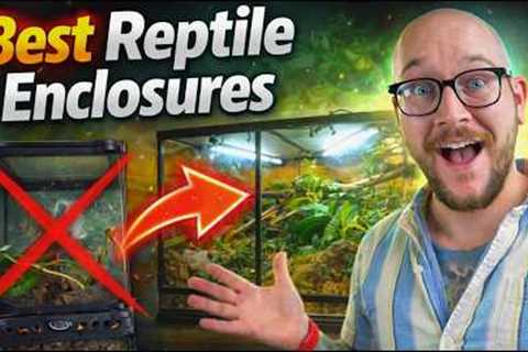 The Best (and Worst) Reptile Enclosure at EVERY SIZE