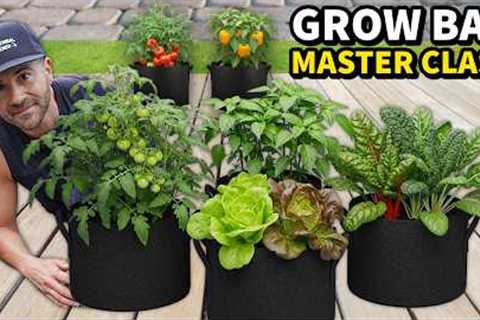 Gardening In GROW BAGS Is So EASY It's Like Cheating!