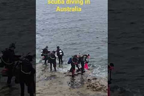 scuba diving in Australia #travel #australia #nature #australiatravel #diving