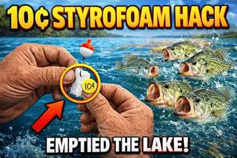 Put a Piece of Styrofoam on Your Line — The $0.10 Hack That Emptied a Lake