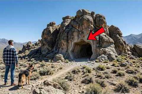 My Stepmother Thought I Lost Everything — But My Dog Led Me to the Hidden Secret Below