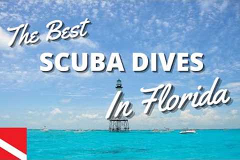 Top 10 Scuba Dives In Florida