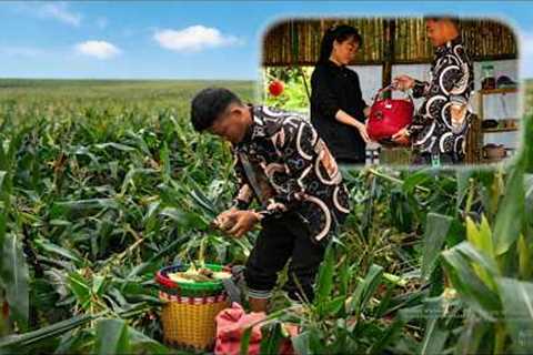 The sweet corn season brought home a special gift for Mr. Thang's family.