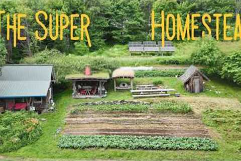 They Built a 1 Acre Homestead on “Unfarmable” Land — Now It Makes Them $13,000 a Week
