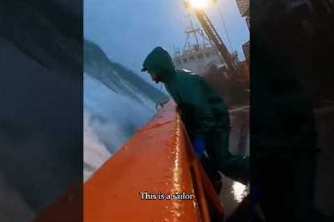 This is life at sea. #funny #sailor #sea #fyp #funnyvideos