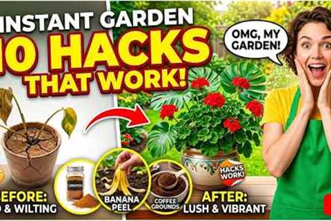 10 Genius Gardening Hacks That Actually Work | Tips &amp; Tricks
