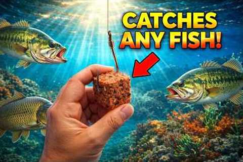 STOP BUYING EXPENSIVE FISHING BAITS! THIS $2 BAIT WORKS 16x BETTER