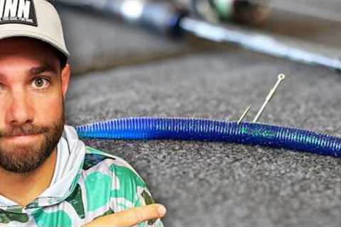 This WACKY RIG Tricks Gets BIG Bites