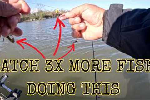 The BEST Shellcracker BAIT That's NOT Worms! #thenextcast