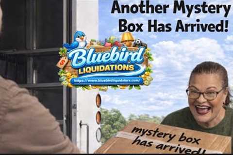 My 2nd of 3 Mystery boxes from Bluebird.   What’s inside this time?  Whoop! Let’s find out together.