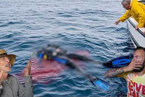 Divers React to Diver Decapitated by Great White Shark