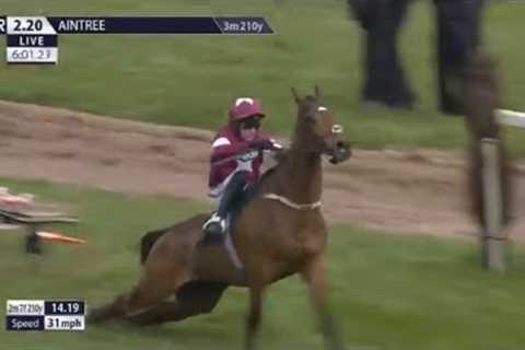 Grand National Horse Gold Dancer Crash and dies in Horrific accident At the Novices Chase on Ladies