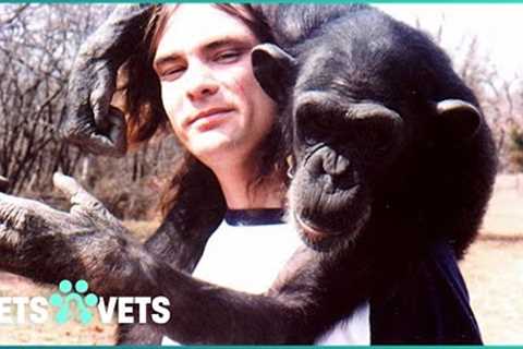 Should Exotic Animals Be Pets? True Stories Behind the Controversy