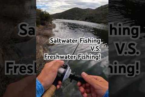 Saltwater Fishing VS Freshwater Fishing! #fishingvideo #fishing