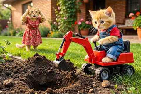 Ginger Kitten Digs the Yard for Treasure – Mama Cat Is Shocked!