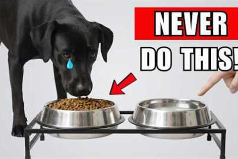 7 DEADLY Mistakes That SHORTEN Your Dog’s Life ( Vets Won’t Tell You)