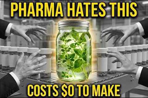 Grow Unlimited Medicine In A Jar. No Garden. No Cost. The 5 Min Ferment.