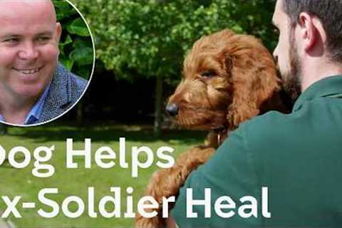 Dog Helps Ex-Soldier Heal | The Dog House 🐶
