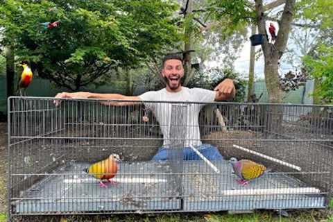 I BOUGHT NEW EXOTIC BIRDS For My AVIARY!
