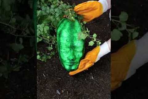 5 Crazy Gardening Hacks That Feel Like Magic! 🤯🌱