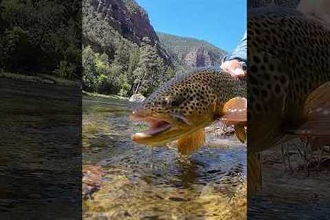 Why Drag Is Killing Your Fly Fishing