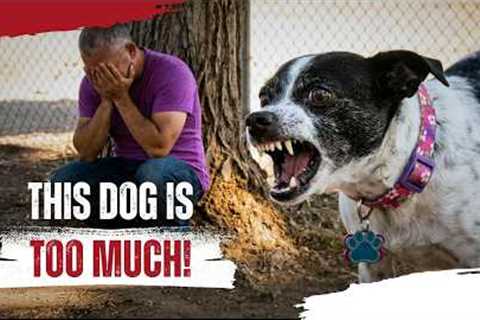 Blood in the Backyard | Cesar Millan’s Most Dangerous Dogs | Ep. 3