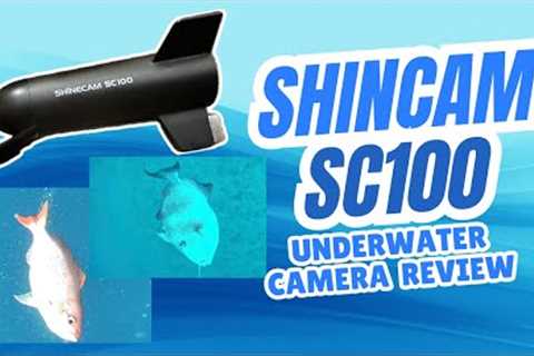 What Fish REALLY Do Underwater… Caught on Camera! SHINECAM SC100