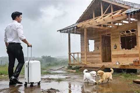 CEO leaves the city — I Built My Wooden House in 35 Days… Then Said Goodbye to This Land | P2