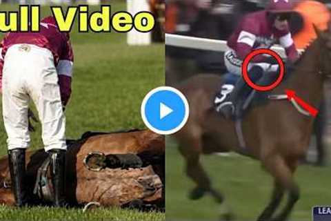Gold Dancer Tragedy Moments After Winning at Aintree Grand National 2026