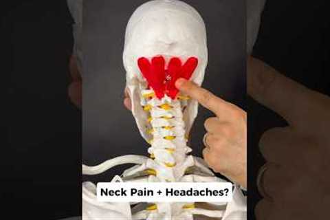 Your NERVOUS system could be causing neck pain + headaches. Try this out! #headaches #neckpainrelief
