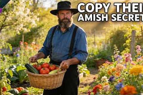 10 Proven Amish Gardening Hacks That Work Without Chemicals
