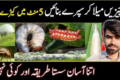 Best Homemade Bug Spray Recipe | Pest Control | Bug Spray @ATCOrganic