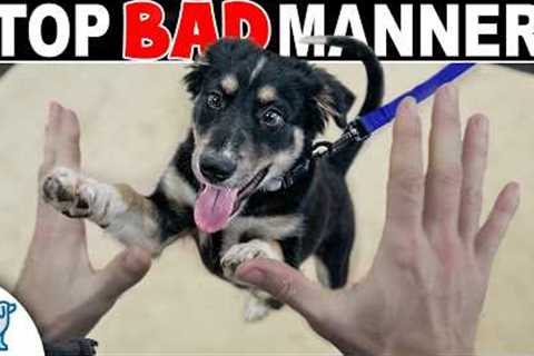 How to Stop Your Dog From Jumping Up on People