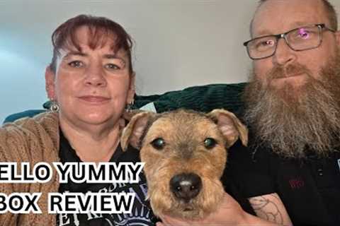 Hello Yummy Box Subscription Review &amp; Unboxing | Snack Taste Test With Paul, Penny &amp; Max 