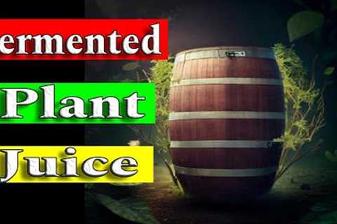 The Ultimate Guide to Making Natural Fertilizer with Fermented Plant Juice (FPJ)