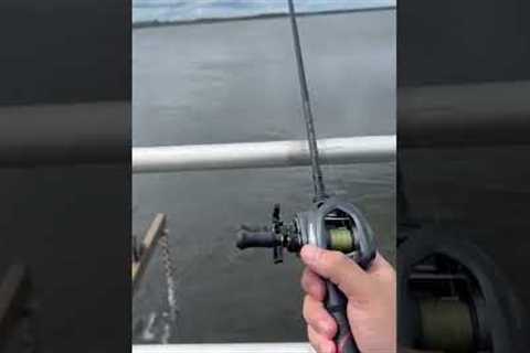 Catching Fish in Saltwater is SO EASY!